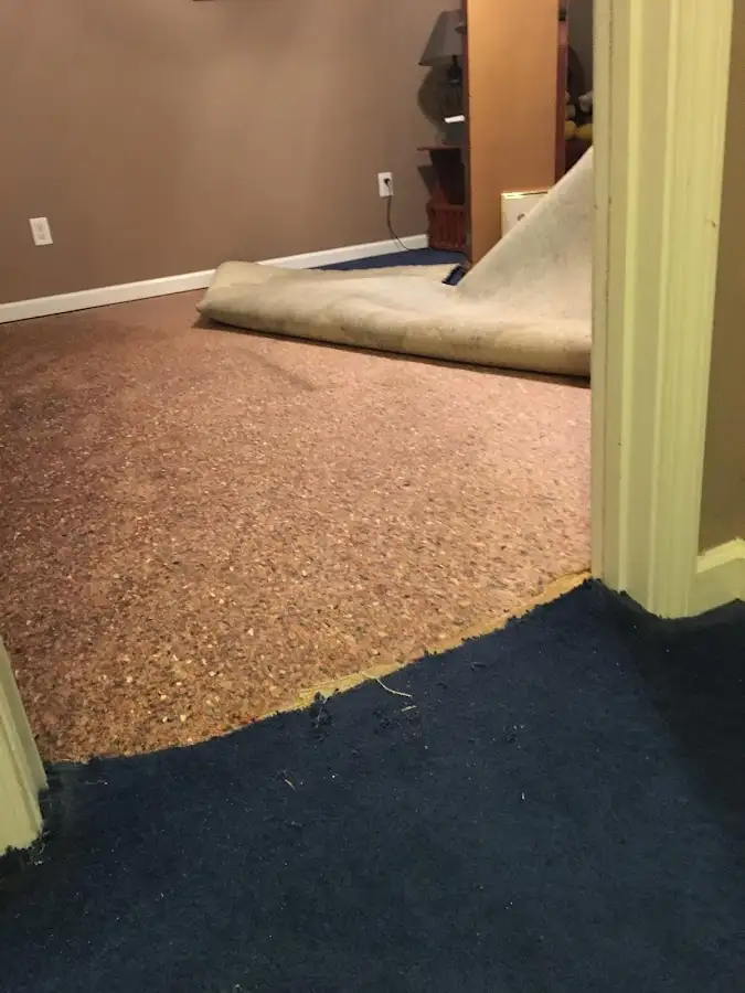Carpet pad removal revealing water damage during Drying & Dehumidification in Lakeland