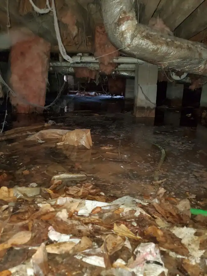 Crawl space flood assessment for Leak Detection & Repair in Lakeland