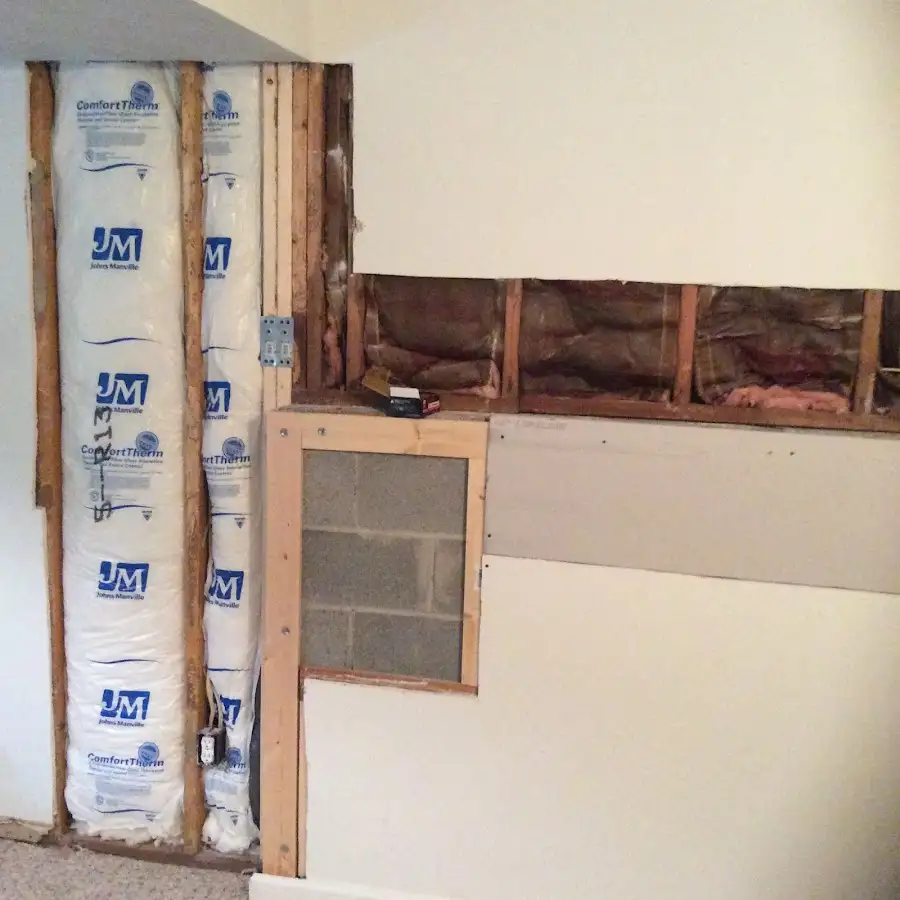 Wall insulation replacement during Basement Flood Cleanup in Lakeland